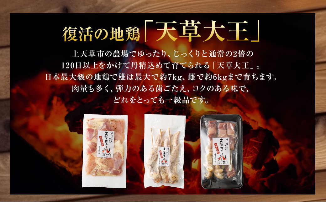 天草大王プレミアムバーベキューセット（大） 計12パック 天草大王 焼鳥 モモ ムネ 皮 手羽先 串