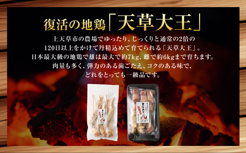 天草大王プレミアムバーべキューセット（小）