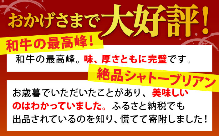 佐賀牛 牛肉 黒毛和牛 ヒレ フィレ ヒレ肉 サーロイン ステーキ A5 セット 贈答品 贈答用 ギフト プレゼント