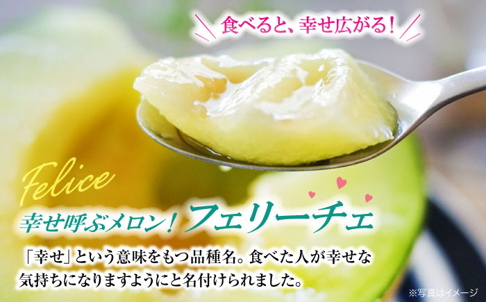 【先行予約】【6月上旬から順次発送】 メロン フェリーチェ 2から3玉 めろん 果物 フルーツ くだもの 青肉 高級 お取り寄せ