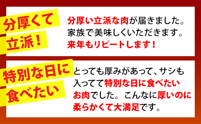 佐賀牛 牛肉 黒毛和牛 ヒレ フィレ ヒレ肉 サーロイン ステーキ A5 セット 贈答品 贈答用 ギフト プレゼント
