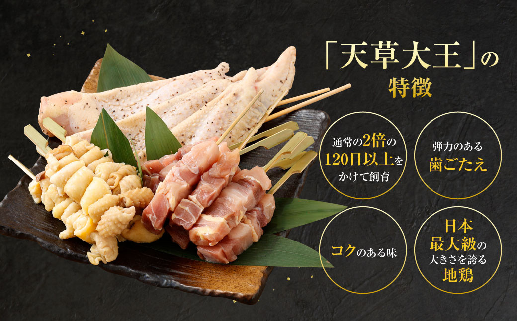 天草大王プレミアムバーベキューセット（大） 計12パック 天草大王 焼鳥 モモ ムネ 皮 手羽先 串