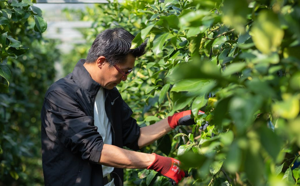 京都から移住した岩崎さん一家が営む『岩﨑農園』