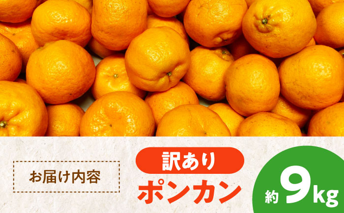 【ちょっと訳あり】ポンカン 約9kg 大洲市/カーム/カームシトラス みかん ぽんかん 柑橘 果物 フルーツ