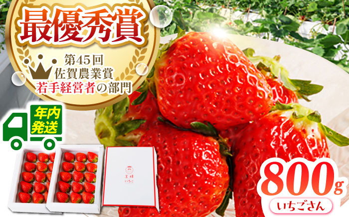 年内発送 年内配送 いちご イチゴ 苺 贈答 贈り物 プレゼント ギフト 農家直送 果物 フルーツ 佐賀 佐賀県産