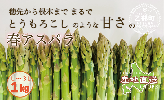 ※写真はイメージ見本となります