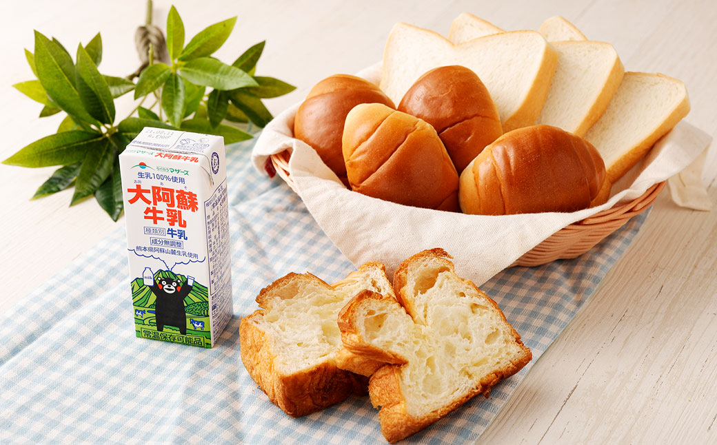 【1ヶ月毎12回定期便】大阿蘇牛乳 200ｍl 計288本（24本×12回） 牛乳 乳飲料 生乳100%