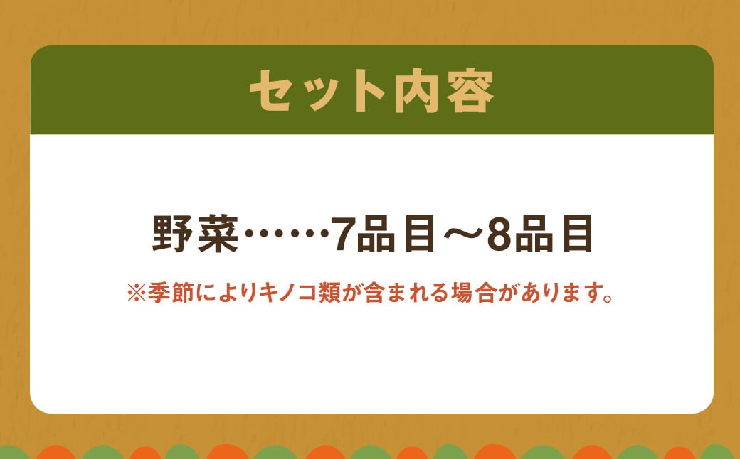 野菜のプロ40年が届ける こだわり野菜セット！ 7～8品目 詰め合わせ