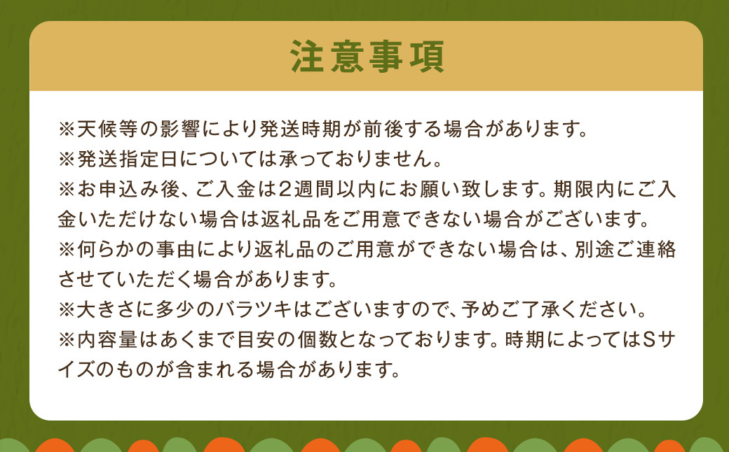 いつもの定番野菜セット どっさり！約10kg