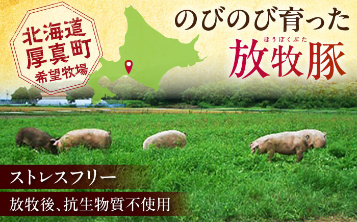 訳あり ソーセージ ウインナー 冷凍配送 セット 詰め合わせ 北海道