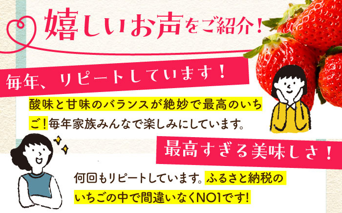 年内発送 年内配送 いちご イチゴ 苺 贈答 贈り物 プレゼント ギフト 農家直送 果物 フルーツ 佐賀 佐賀県産