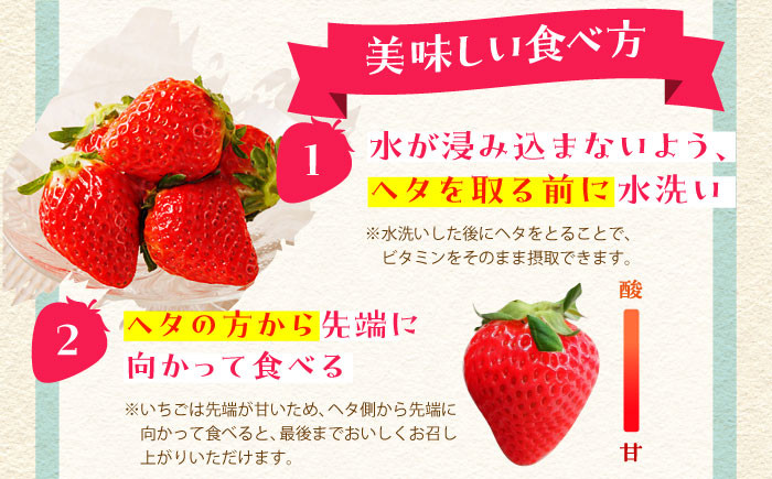 いちご イチゴ 苺 朝摘み 贈答 贈り物 プレゼント ギフト 農家直送 産地直送 果物 フルーツ 佐賀 佐賀県産