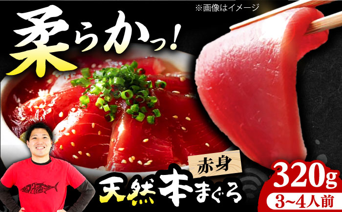 まぐろ マグロ 鮪 赤身 刺身 マグロ 鮪 赤身 トロ とろ 刺身 小分け 柵 冷凍 海鮮 新鮮 手巻き寿司 海鮮丼 パーティー
