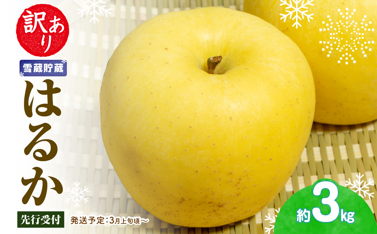 《先行受付》訳あり 雪蔵貯蔵 はるかりんご 約3kg【2026年3月上旬頃～発送予定】【山形りんご・りんご専科 清野】