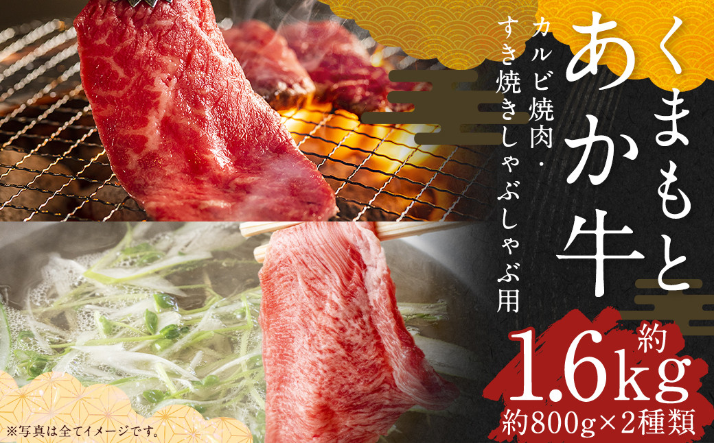 くまもとあか牛 カルビ焼肉用 約800g・すきやきしゃぶしゃぶ用 約800g 合計約1.6kg