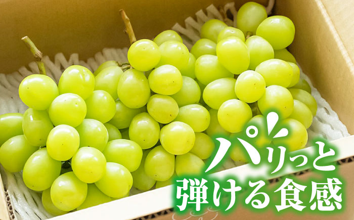 シャインマスカット ぶどう シャインますかっと フルーツ 果物 日田 産地直送 ギフト 贈り物 高級フルーツ 期間限定 数量限定