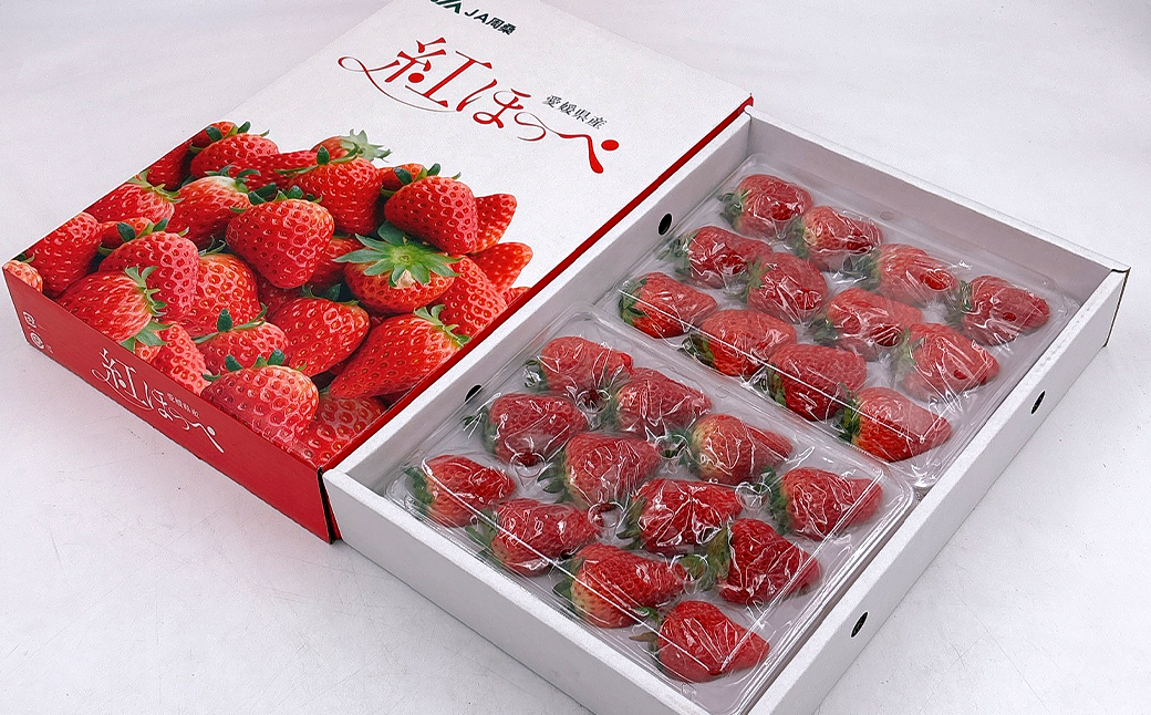 ※画像はイメージです