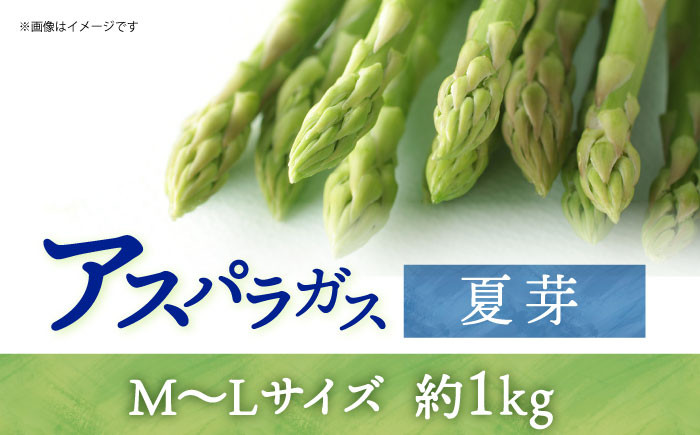 アスパラガス ( 夏芽 ) 約1kg