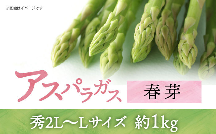 アスパラガス 春芽 約1kg 小値賀町