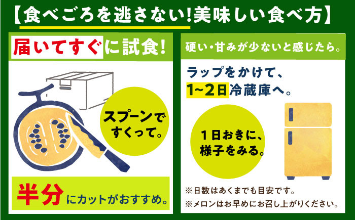 【訳あり】タカミメロン  約5kg（3〜5玉）