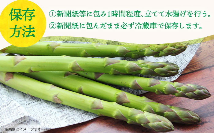 アスパラガス 春芽 約1kg 小値賀町