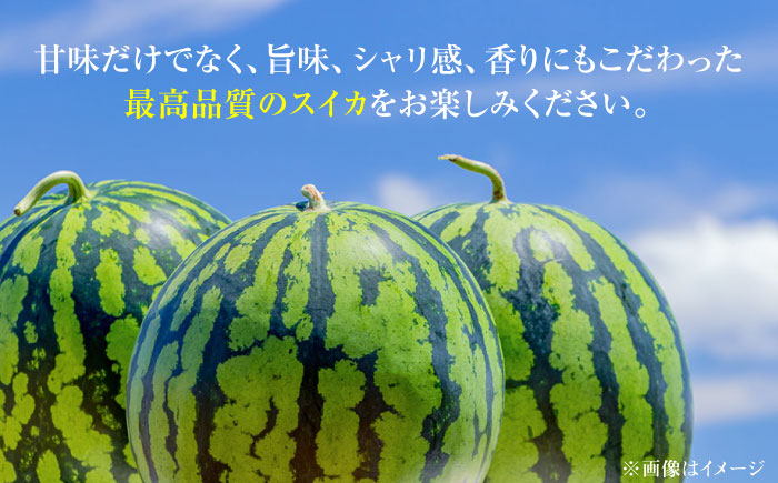 すいか スイカ 名産 夏 ブランド 日田 天領  スイカ　糖度　甘い あまい 日田天領西瓜 西瓜 