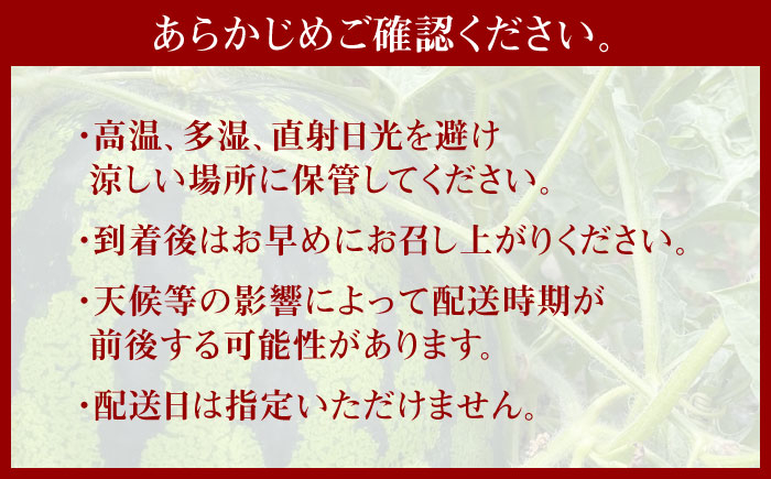 すいか スイカ 名産 夏 ブランド 日田 天領  スイカ　糖度　甘い あまい 日田天領西瓜 西瓜 