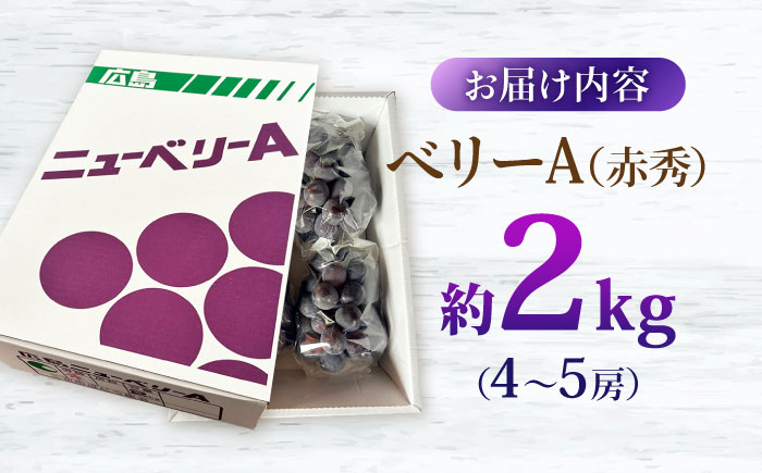 ベリーA ぶどう 葡萄 シャイン ブドウ 果実 くだもの 果物 フルーツ ぶどう