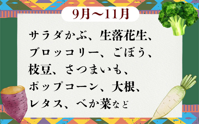 画像はイメージです。季節により内容は異なります。