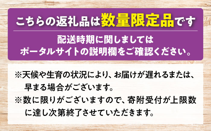 ベリーA ぶどう 葡萄 シャイン ブドウ 果実 くだもの 果物 フルーツ ぶどう