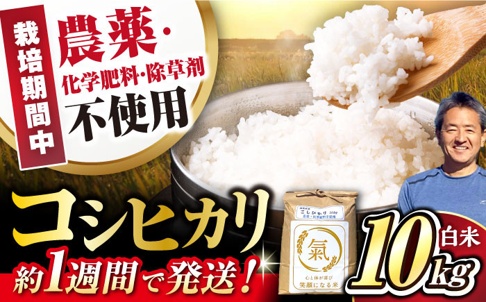 七神氣こしひかり (有機栽培) 白米 10kg米 お米 コメ 白米  10kg