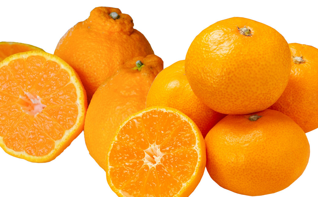 熊本県産デコポンと熊本市産青島みかんセット