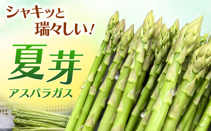 朝採れたての新鮮なアスパラをお届け！