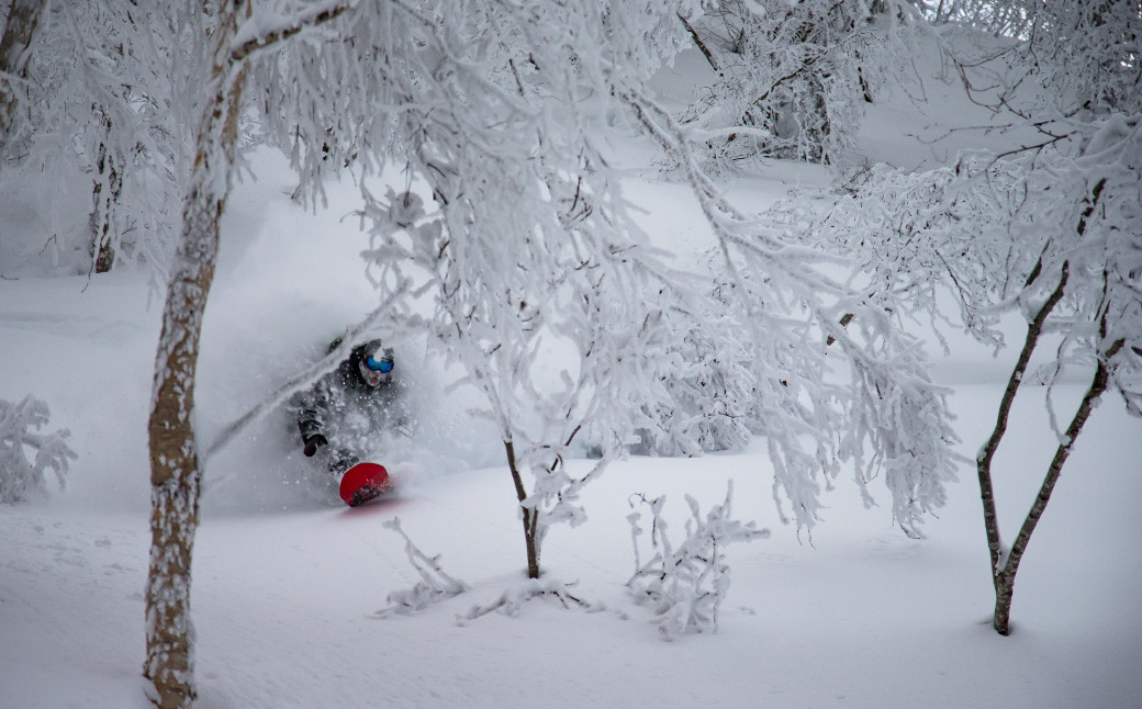 チセヌプリCATツアー (貸切ツアー)