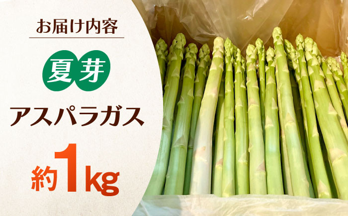 こだわりアスパラガス　夏芽　約１kg