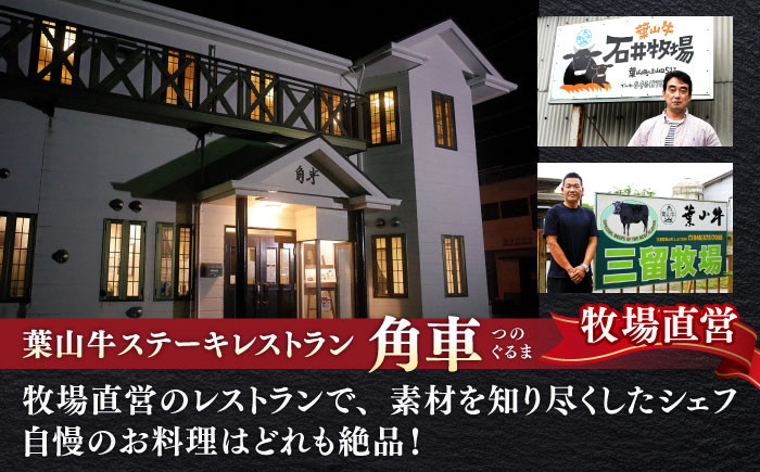 国産 和牛 牛肉 A5 すき焼き しゃぶしゃぶ すき焼き用 牛肉 ロース 葉山牛