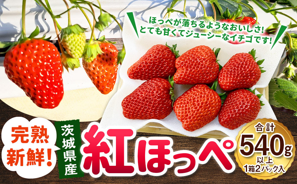 紅ほっぺ 1箱 2パック（合計540g以上）