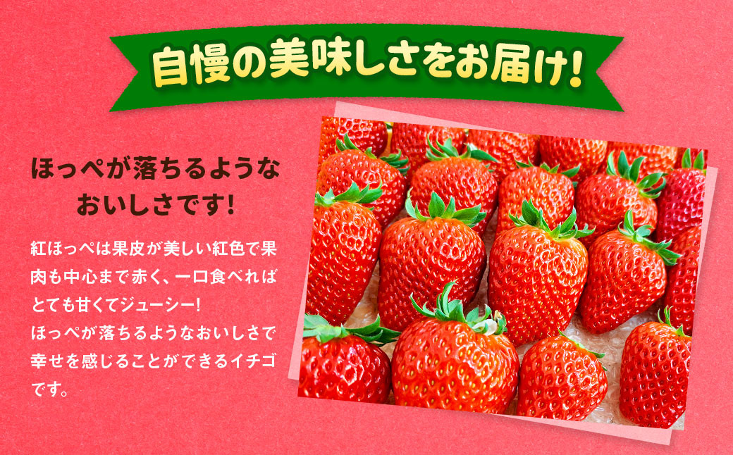 紅ほっぺ 1箱 2パック（合計540g以上）