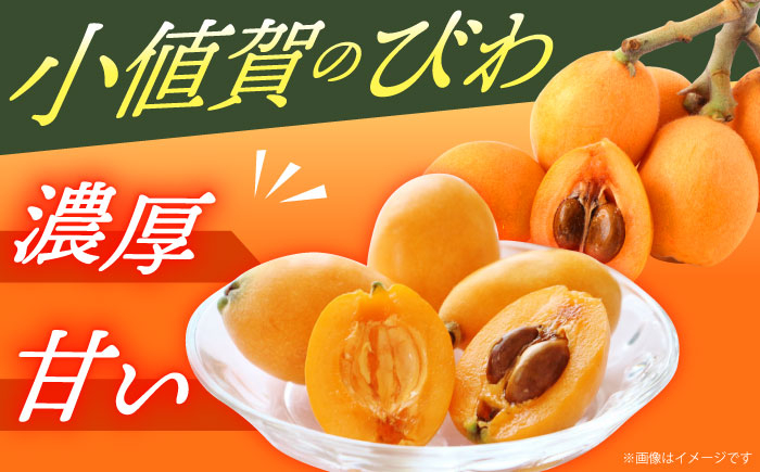 びわ 12粒 Mサイズ