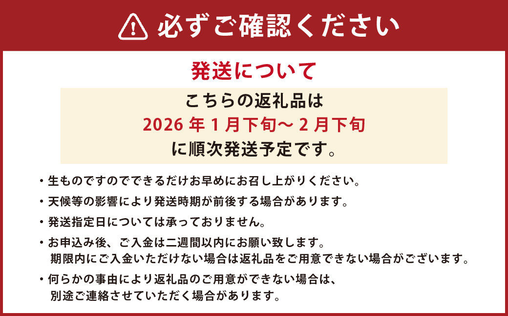 熊本県産デコポンと熊本市産青島みかんセット