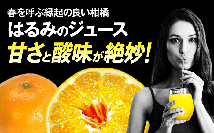 まどんな マドンナ みかん ミカン 蜜柑 100％ みかんジュース ミカンジュース 蜜柑ジュース ジュース じゅーす 100％