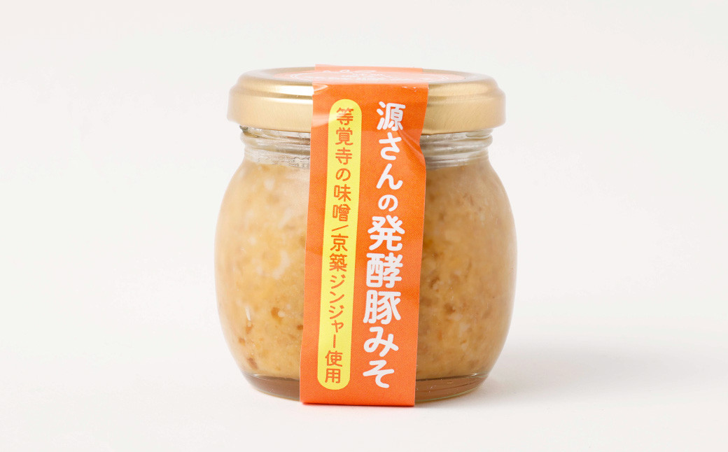 【12ヶ月定期便】源さんの発酵豚みそ 100g×1個 計12個 豚肉 豚 ブタ ぶた 肉 豚味噌 味噌 味噌漬け
