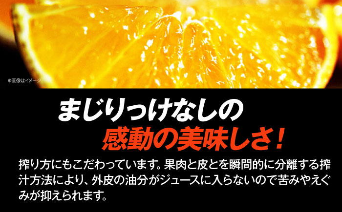 まどんな マドンナ みかん ミカン 蜜柑 100％ みかんジュース ミカンジュース 蜜柑ジュース ジュース じゅーす 100％