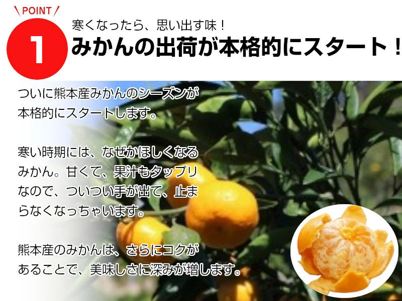 熊本県産デコポンと熊本市産青島みかんセット