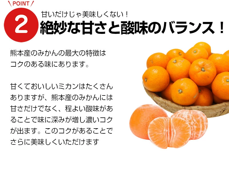 熊本県産デコポンと熊本市産青島みかんセット