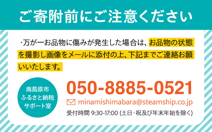 イチゴ 苺 フルーツ 果物 産地直送 朝摘み