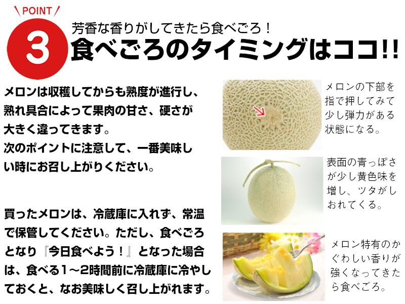 熊本市産アールスメロンと熊本市産青島みかんセット