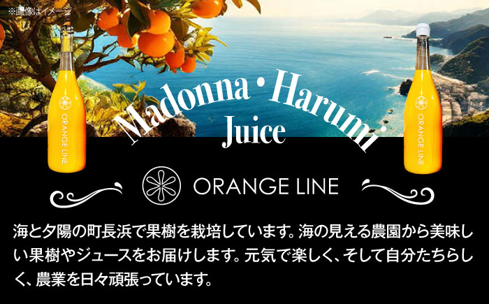 まどんな マドンナ みかん ミカン 蜜柑 100％ みかんジュース ミカンジュース 蜜柑ジュース ジュース じゅーす 100％