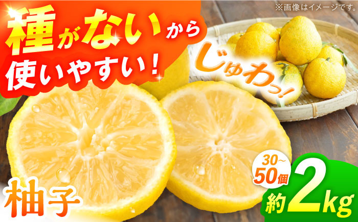 柚子 ゆず茶 ユズ 種なし ゆず 柚子胡椒 ゆずポン酢 種無し 柑橘 果実 果物