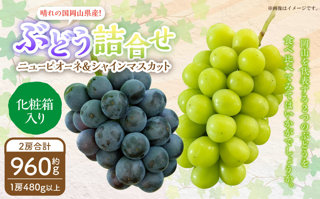 岡山県産 ぶどう詰合 ニューピオーネ 1房・シャインマスカット 晴王 1房 （各480g以上） 化粧箱入り 